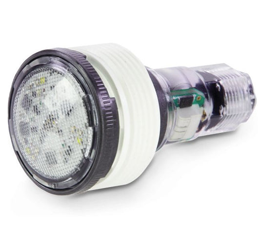 Pentair MicroBrite LED Pool Light - Colour and White - 100FT Cord - 620425